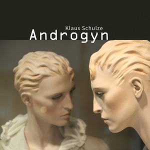 Androgyn cover