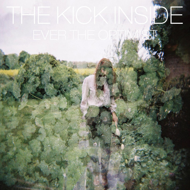 The Kick Inside Photo