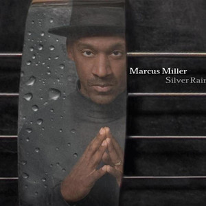 Silver Rain cover