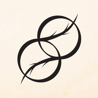 Forest Knot Photo