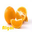 Algol Albumcover