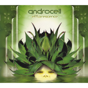 Efflorescence cover