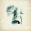 Welcome to The Infant Freebase cover