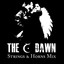 The Dawn - Strings and Horns Albumcover