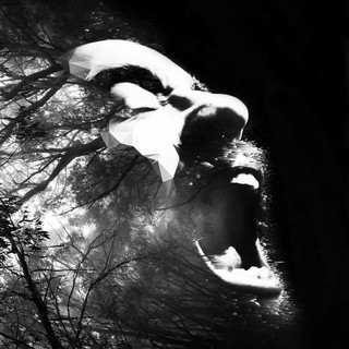 Erman Erim Photo