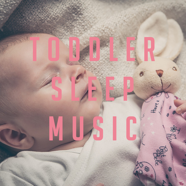 Toddler Sleep Music Albumcover