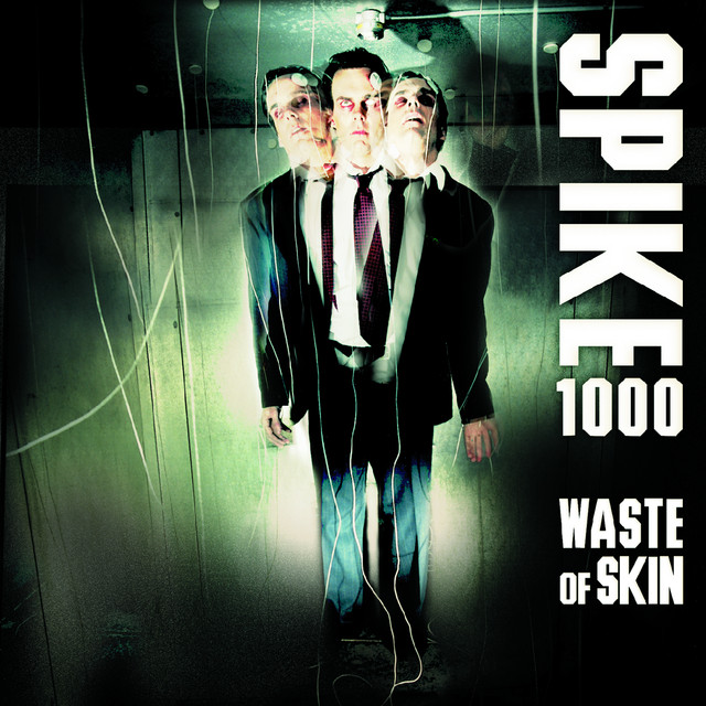 Waste Of Skin cover