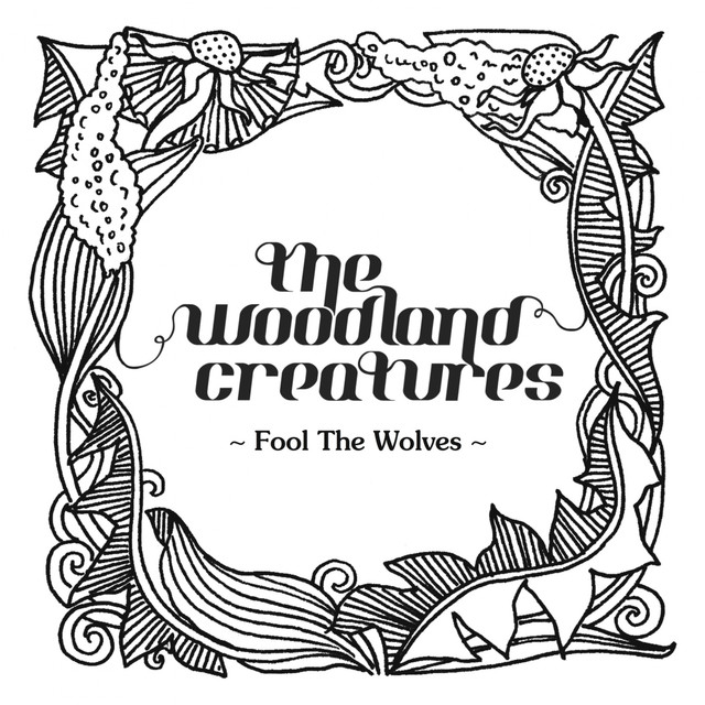 Woodland Creatures Photo