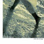 Life On 2 Legs Albumcover