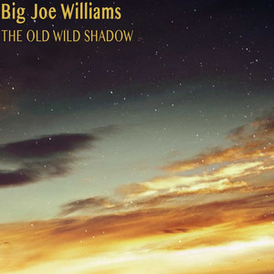 The Old Wild Shadow album
