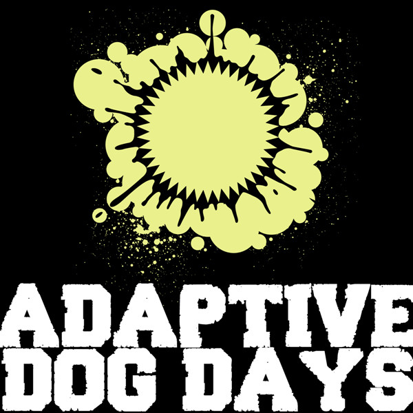 Adaptive Photo