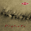 Pigmata cover