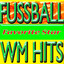 Fussball WM Hits (Brasil Soccer Football Stadion Fan Hits) Albumcover