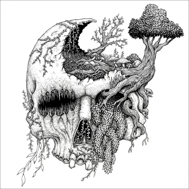 Moss Upon the Skull Photo