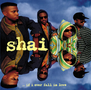 If I Ever Fall in Love album