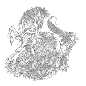 Trabalhos carnívoros cover