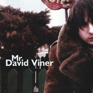 Mr. David Viner cover