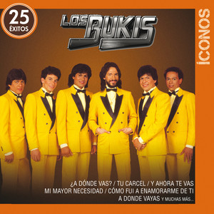 Ãconos 25 Ã‰xitos album