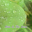 Rain In The Room cover