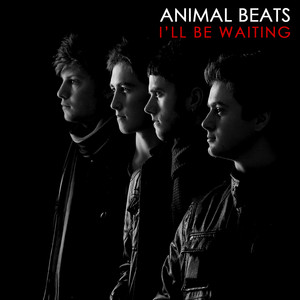 Animal Beats