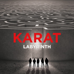 Labyrinth cover