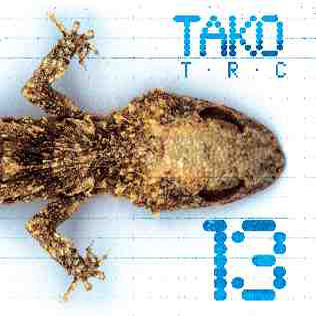 13 cover