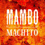 Mambo cover