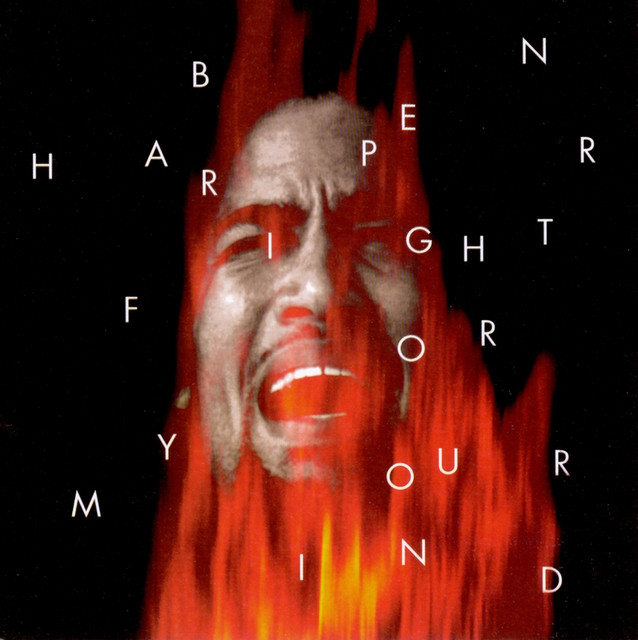 Fight For Your Mind cover