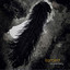 Liarbird cover