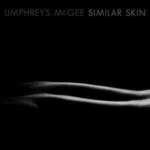 Similar Skin album