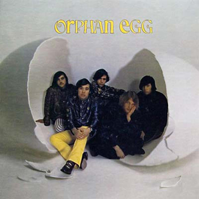 Orphan Egg Photo
