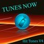 Tunes Now: Hit Tones, Vol. 4 Albumcover