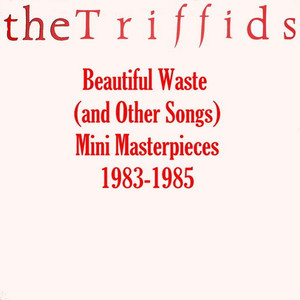 Beautiful Waste (and Other Songs) - Mini Masterpieces 1983-1985 cover