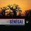 Sénégal - kora, balafon, guitare, percussions & chants (Documents collectés par Gérard Krémer) Albumcover