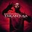 Tarantula Albumcover