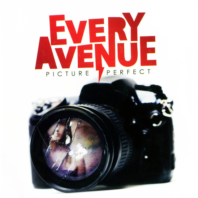 Picture Perfect cover