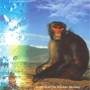 Calming of the Drunken Monkey cover