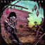 In the Spanish Cave cover