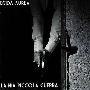 La mia piccola guerra cover