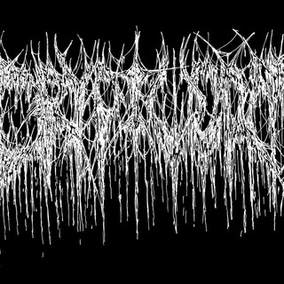 Cryptworm Photo