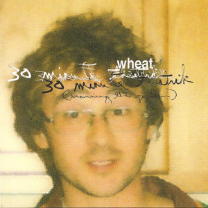30 Minute Theatrik (scanning the Garden) cover
