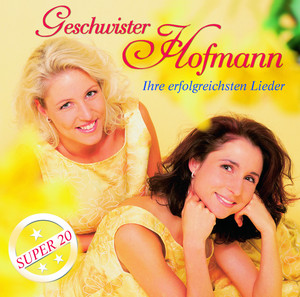 Ihre erfolgreichsten Lieder cover