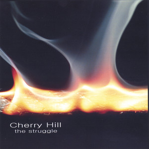 The Struggle Albumcover