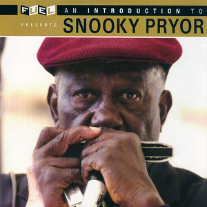 An Introduction To Snooky Pryor Albumcover