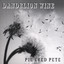 Dandelion Wine Albumcover