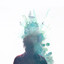 Soak cover