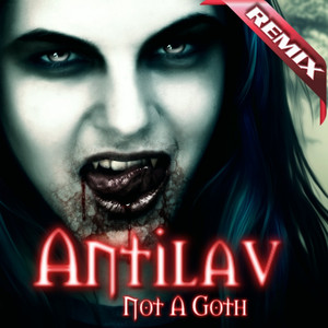 Antilav Photo