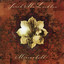 Mirrorball cover