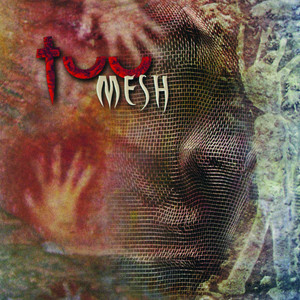 Mesh Albumcover