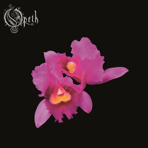 Orchid album